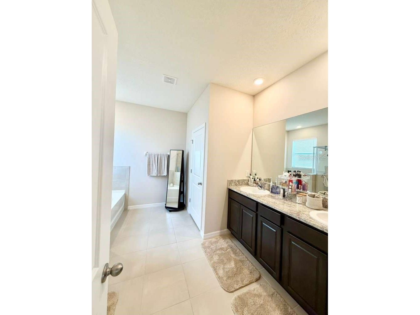 5452 Flint Hills Drive Wimauma FL 33598 N6144145 image23