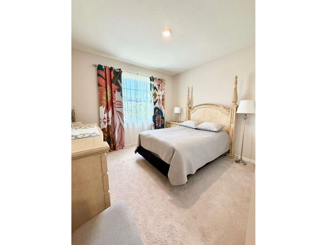 5452 Flint Hills Drive Wimauma FL 33598 N6144145 image24