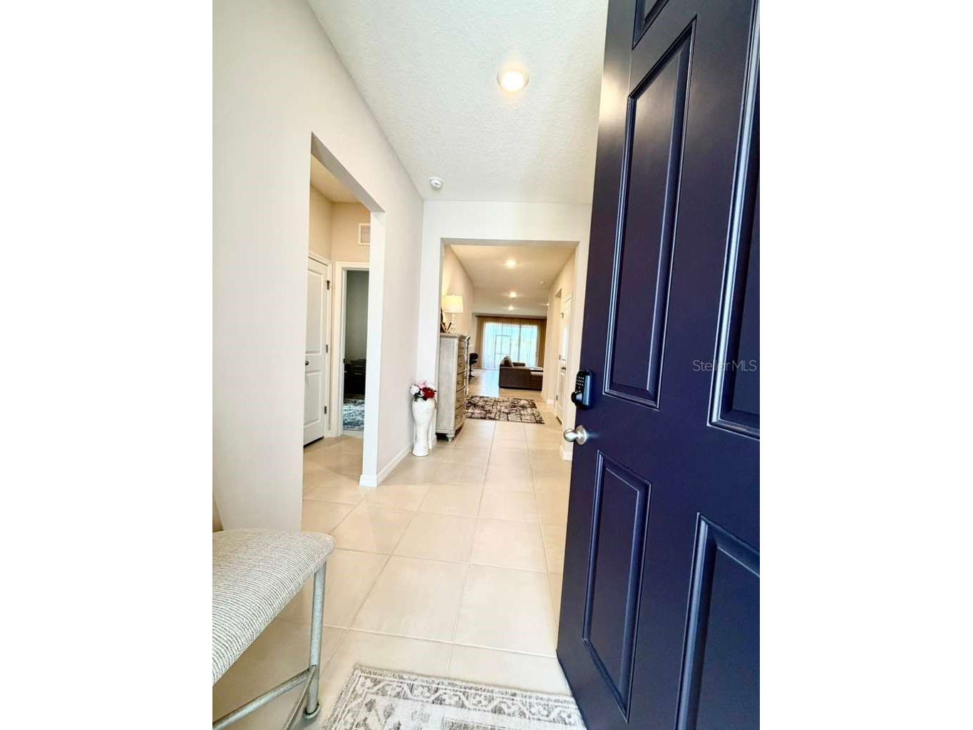 5452 Flint Hills Drive Wimauma FL 33598 N6144145 image5