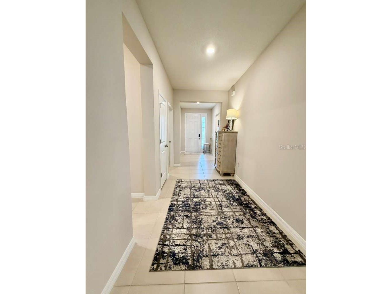 5452 Flint Hills Drive Wimauma FL 33598 N6144145 image9