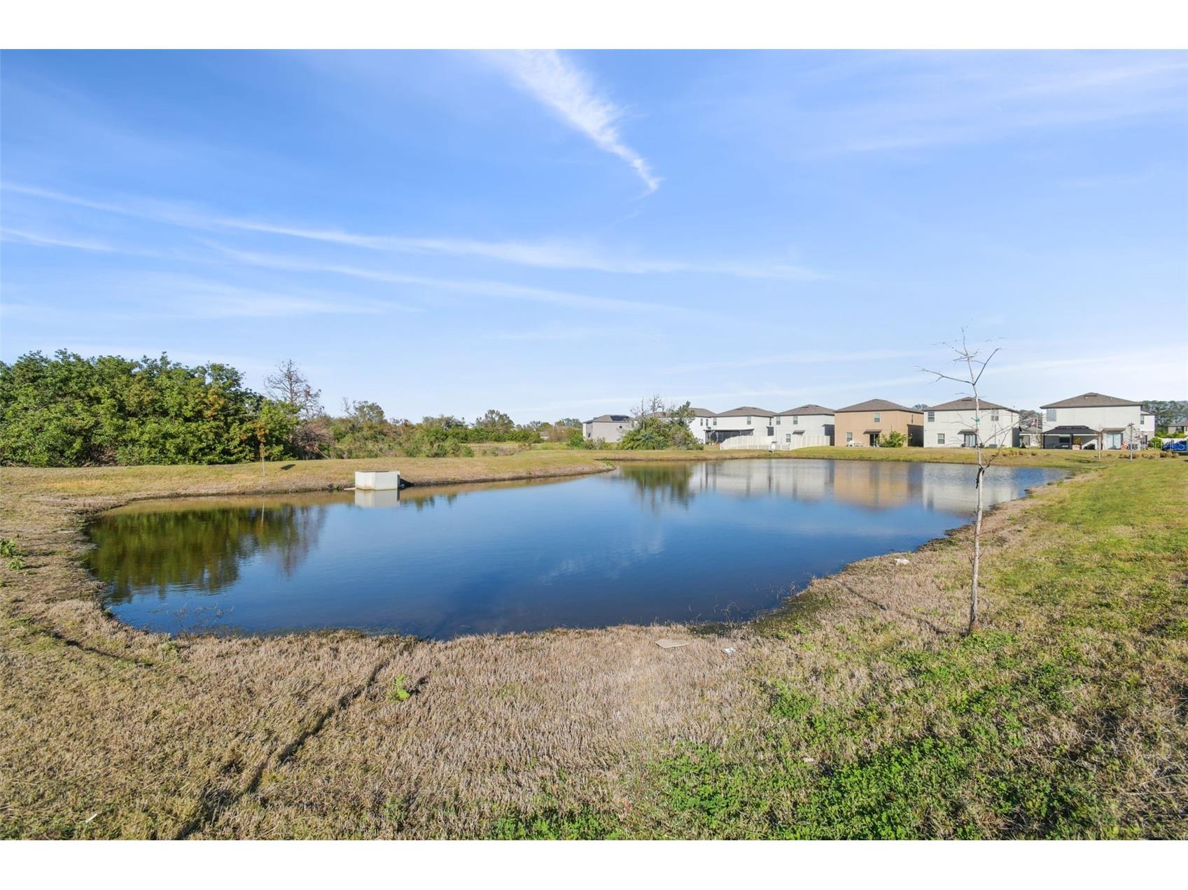 5452 Rainwood Meadows Drive Apollo Beach FL 33572 TB8514552 image19