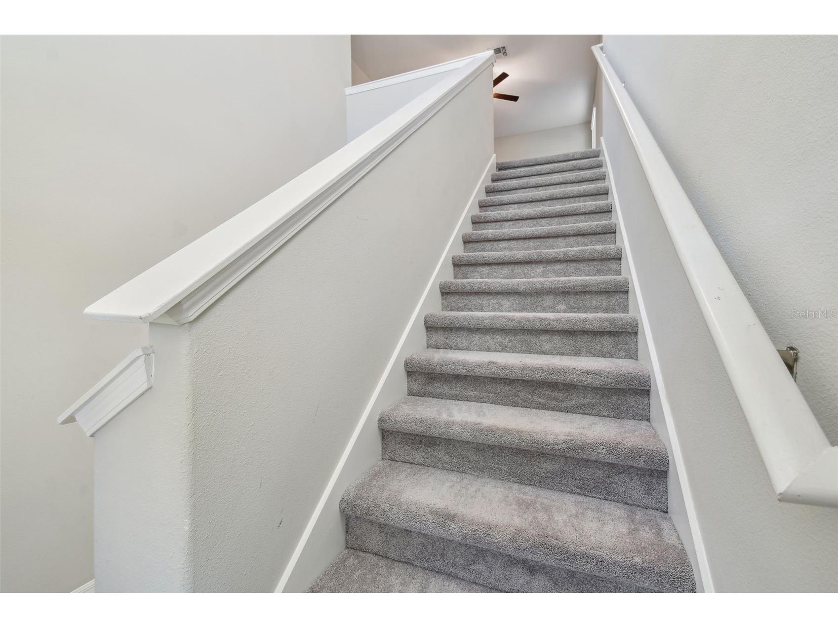 5452 Rainwood Meadows Drive Apollo Beach FL 33572 TB8514552 image30