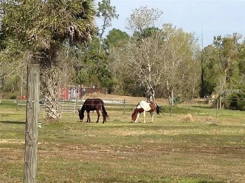 54523 Astor Transfer Station Road Astor FL 32102 R4910928 image28