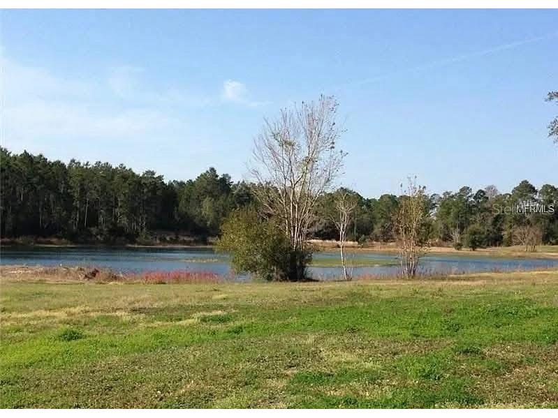 54523 Astor Transfer Station Road Astor FL 32102 R4910928 image29