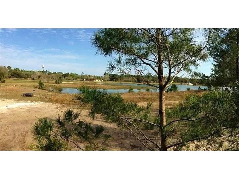 54523 Astor Transfer Station Road Astor FL 32102 R4910928 image30