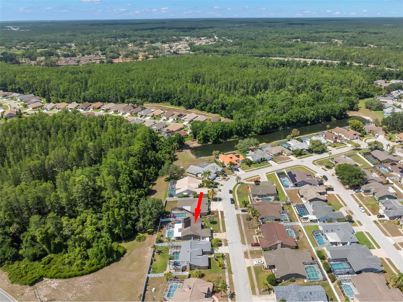 5453 El Cerro Drive New Port Richey FL 34655 TB8508181 image47