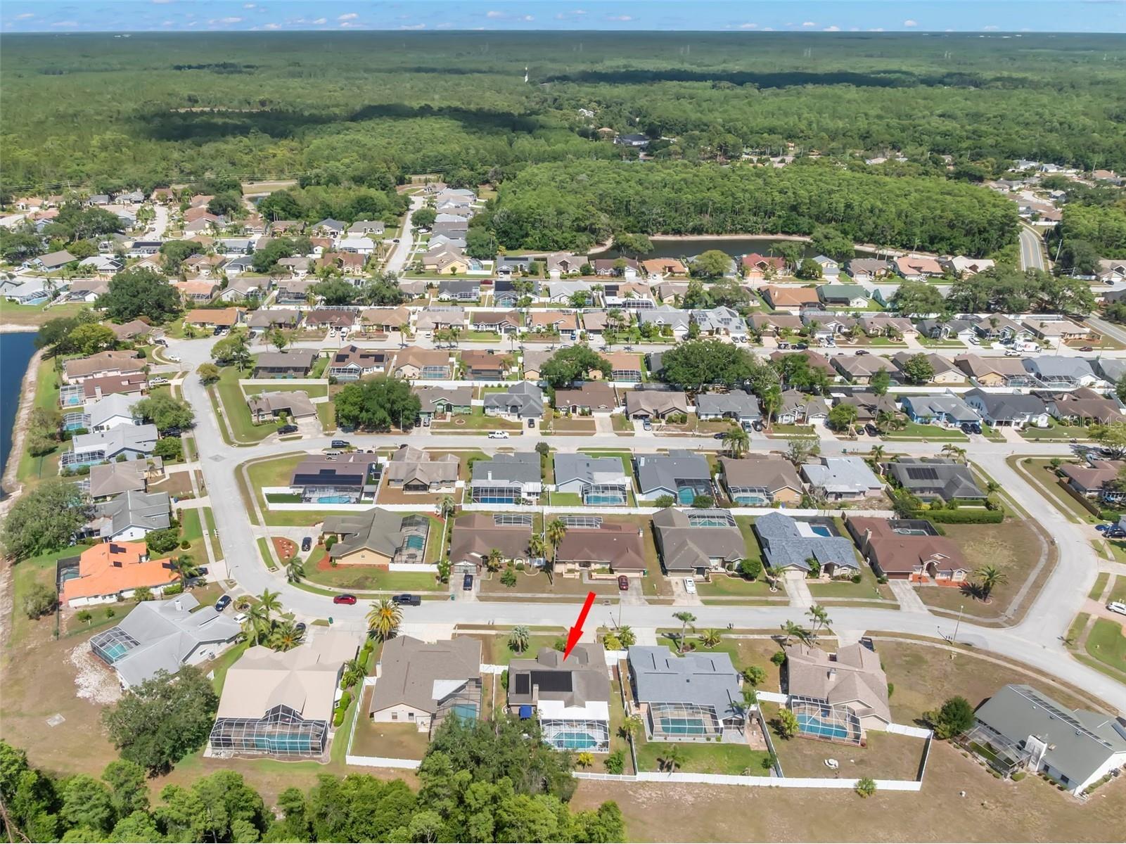5453 El Cerro Drive New Port Richey FL 34655 TB8508181 image49