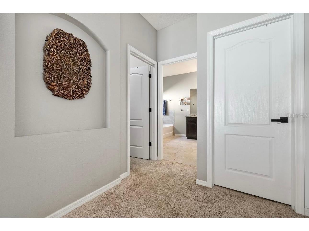5453 Suncatcher Drive Wesley Chapel FL 33545 TB8508118 image19
