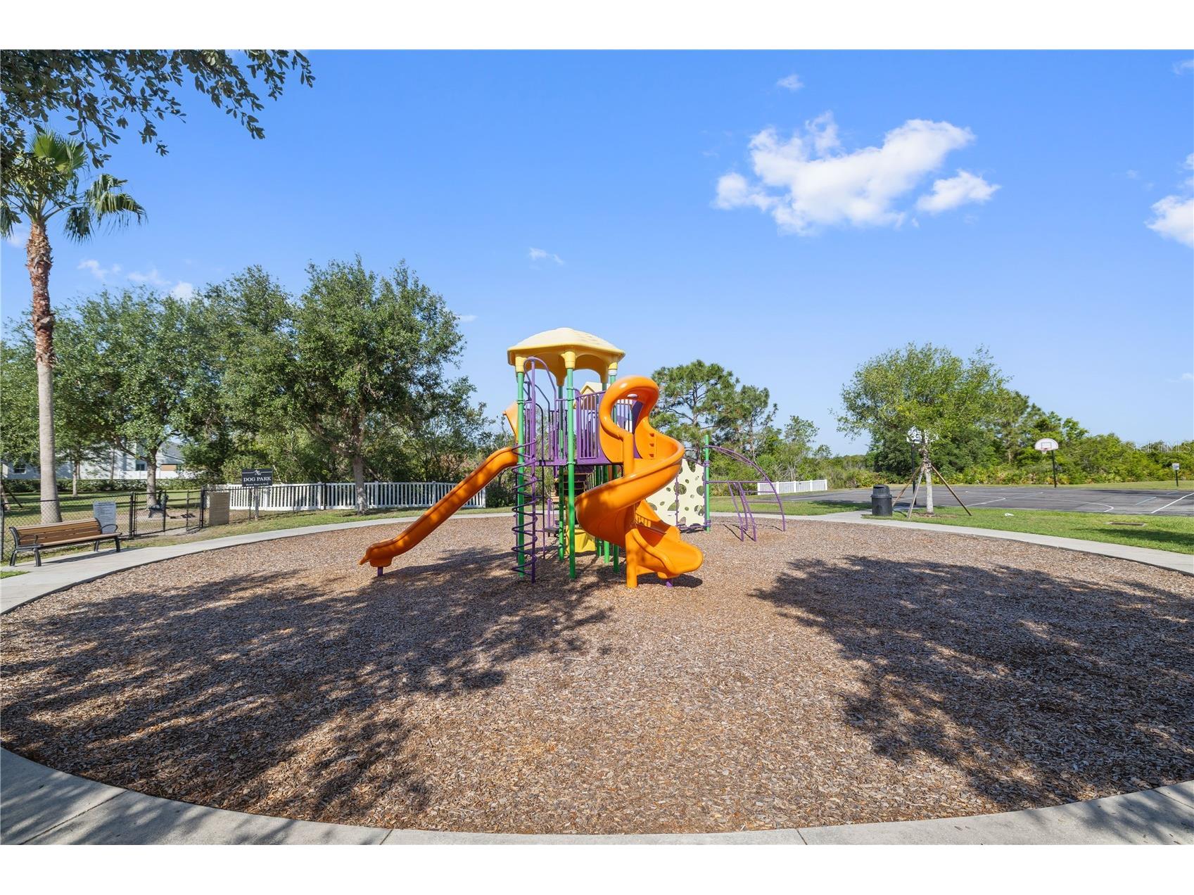 5453 Suncatcher Drive Wesley Chapel FL 33545 TB8508118 image43