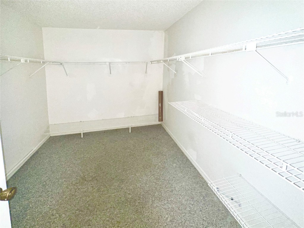 5454 Saddlebrook Way #2 Wesley Chapel FL 33543 TB8370107 image17