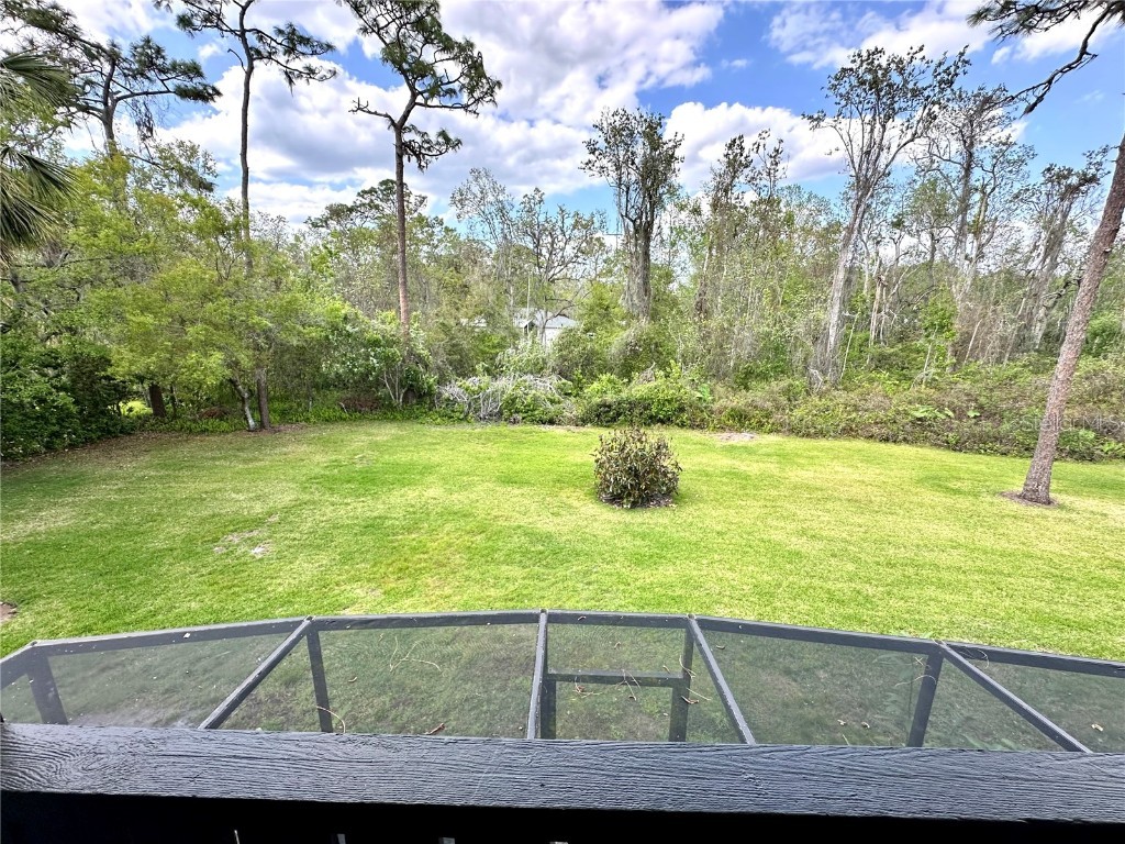 5454 Saddlebrook Way #2 Wesley Chapel FL 33543 TB8370107 image21