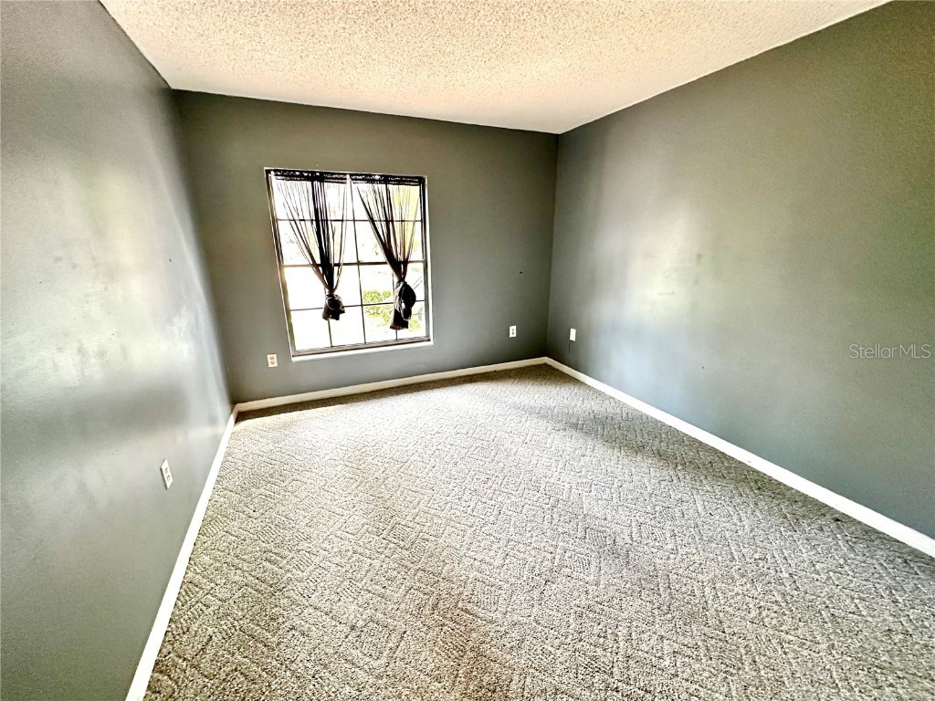 5454 Saddlebrook Way #2 Wesley Chapel FL 33543 TB8370107 image23