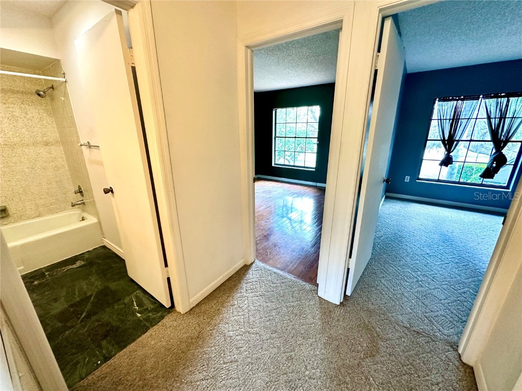 5454 Saddlebrook Way #2 Wesley Chapel FL 33543 TB8370107 image27