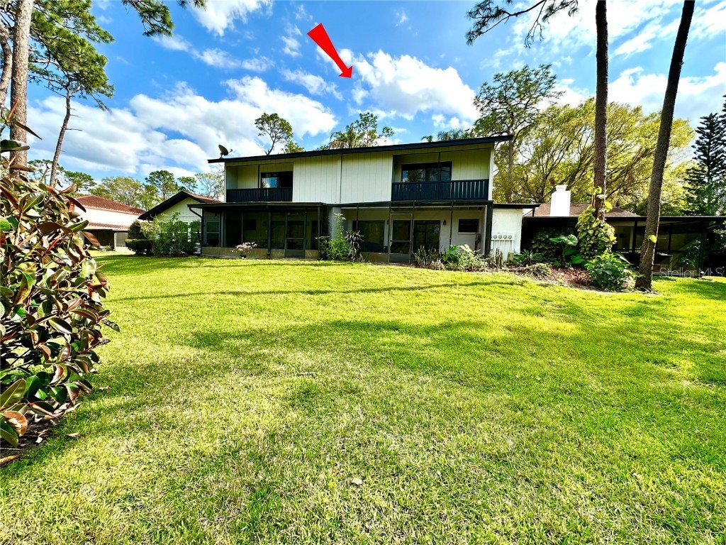 5454 Saddlebrook Way #2 Wesley Chapel FL 33543 TB8370107 image30