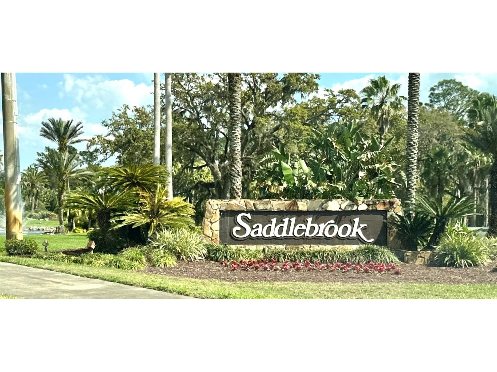 5454 Saddlebrook Way #2 Wesley Chapel FL 33543 TB8370107 image34