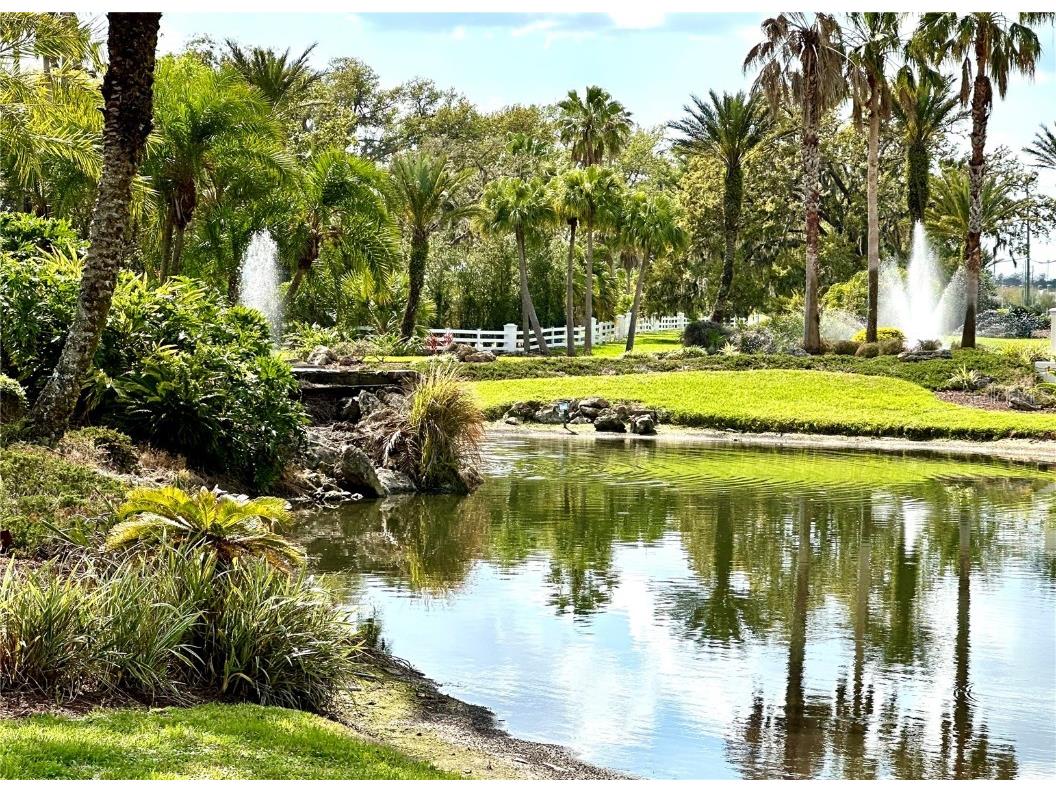 5454 Saddlebrook Way #2 Wesley Chapel FL 33543 TB8370107 image35