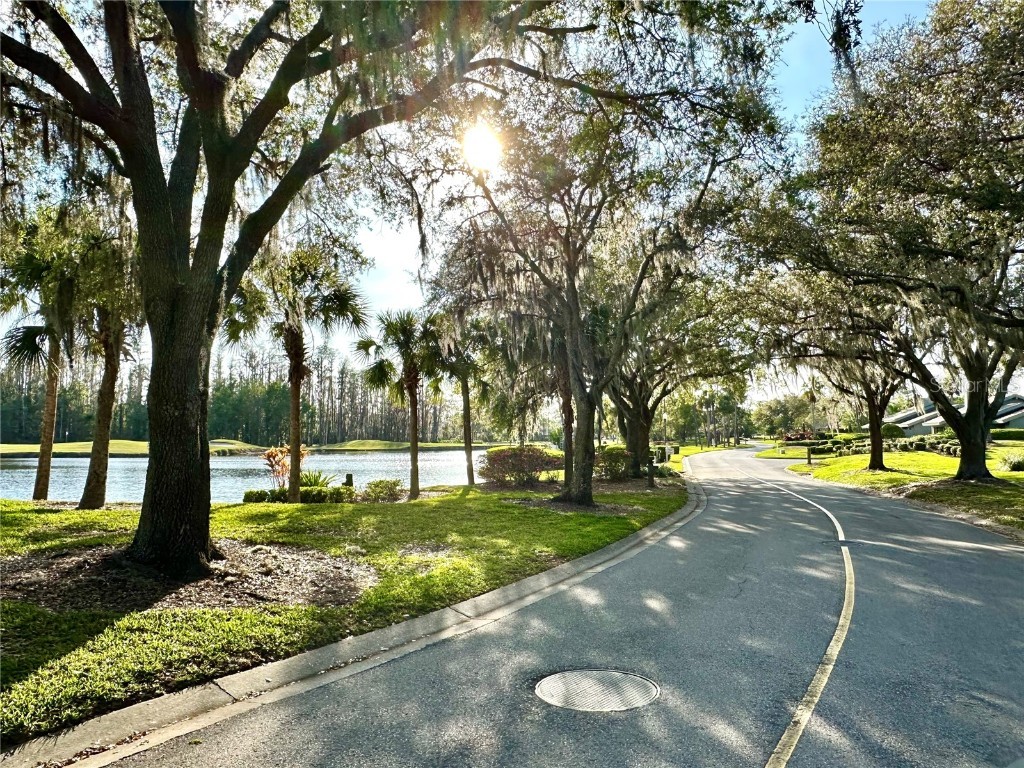 5454 Saddlebrook Way #2 Wesley Chapel FL 33543 TB8370107 image39