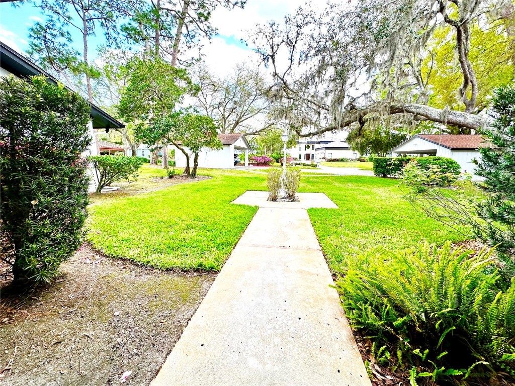 5454 Saddlebrook Way #2 Wesley Chapel FL 33543 TB8370107 image4