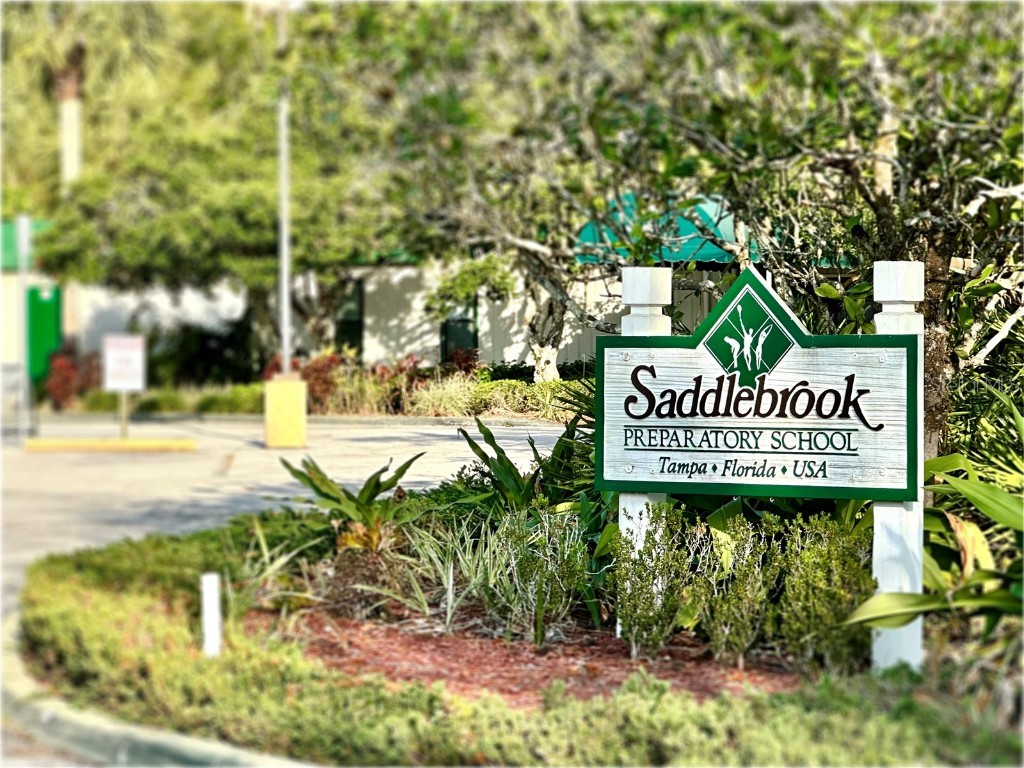 5454 Saddlebrook Way #2 Wesley Chapel FL 33543 TB8370107 image42