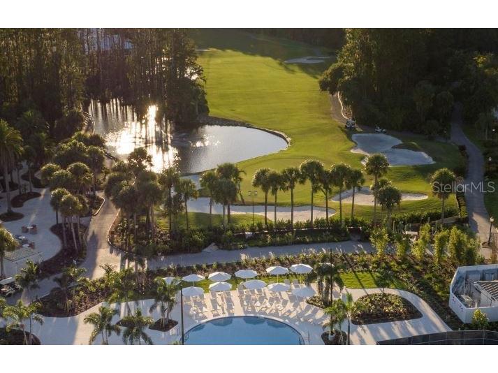 5454 Saddlebrook Way #2 Wesley Chapel FL 33543 TB8370107 image47