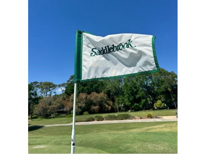 5454 Saddlebrook Way #2 Wesley Chapel FL 33543 TB8370107 image50