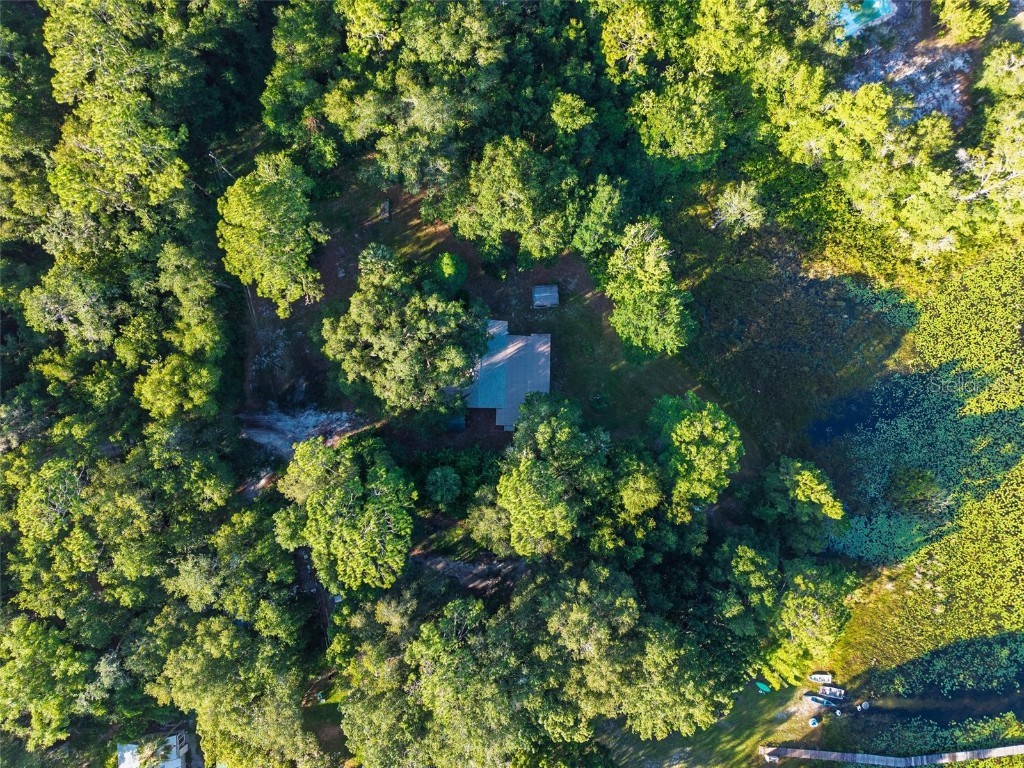 54544 Buckhorn Road Astor FL 32102 - SCHIMMERHORN LAKE G5098493 image25