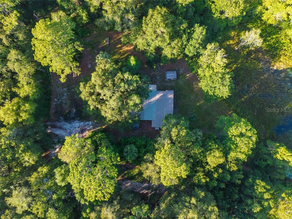 54544 Buckhorn Road Astor FL 32102 - SCHIMMERHORN LAKE G5098493 image26