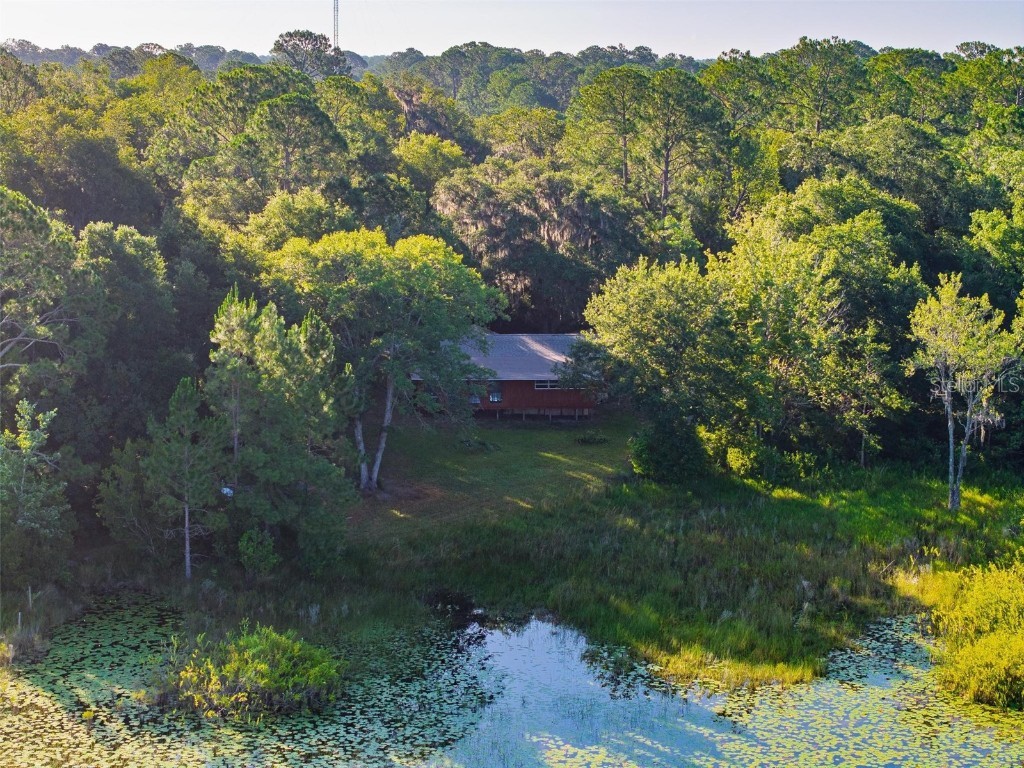 54544 Buckhorn Road Astor FL 32102 - SCHIMMERHORN LAKE G5098493 image30