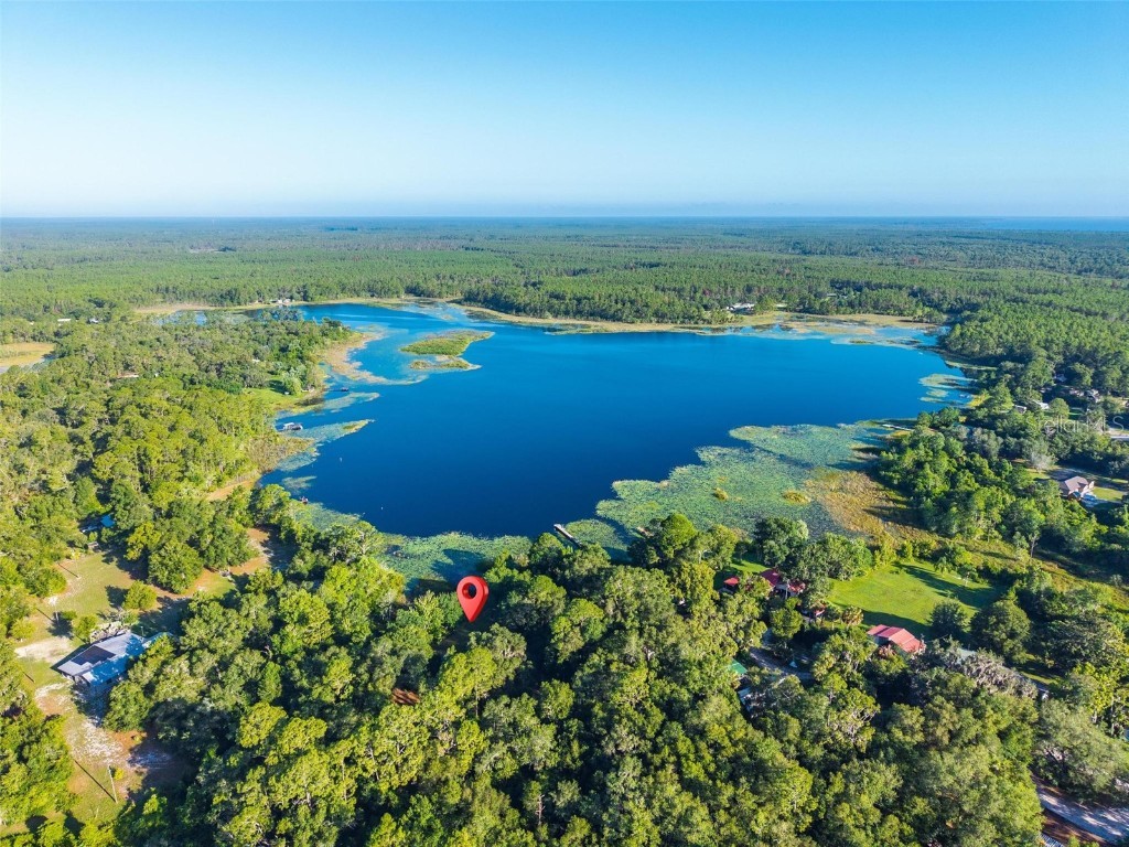 54544 Buckhorn Road Astor FL 32102 - SCHIMMERHORN LAKE G5098493 image5