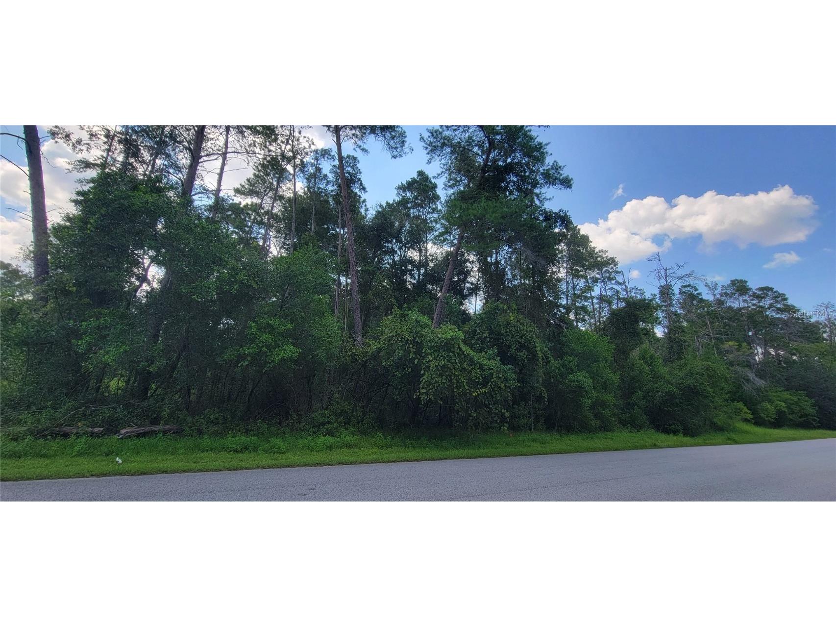 5455 Drew Street Brooksville FL 34604 W7867620 image1