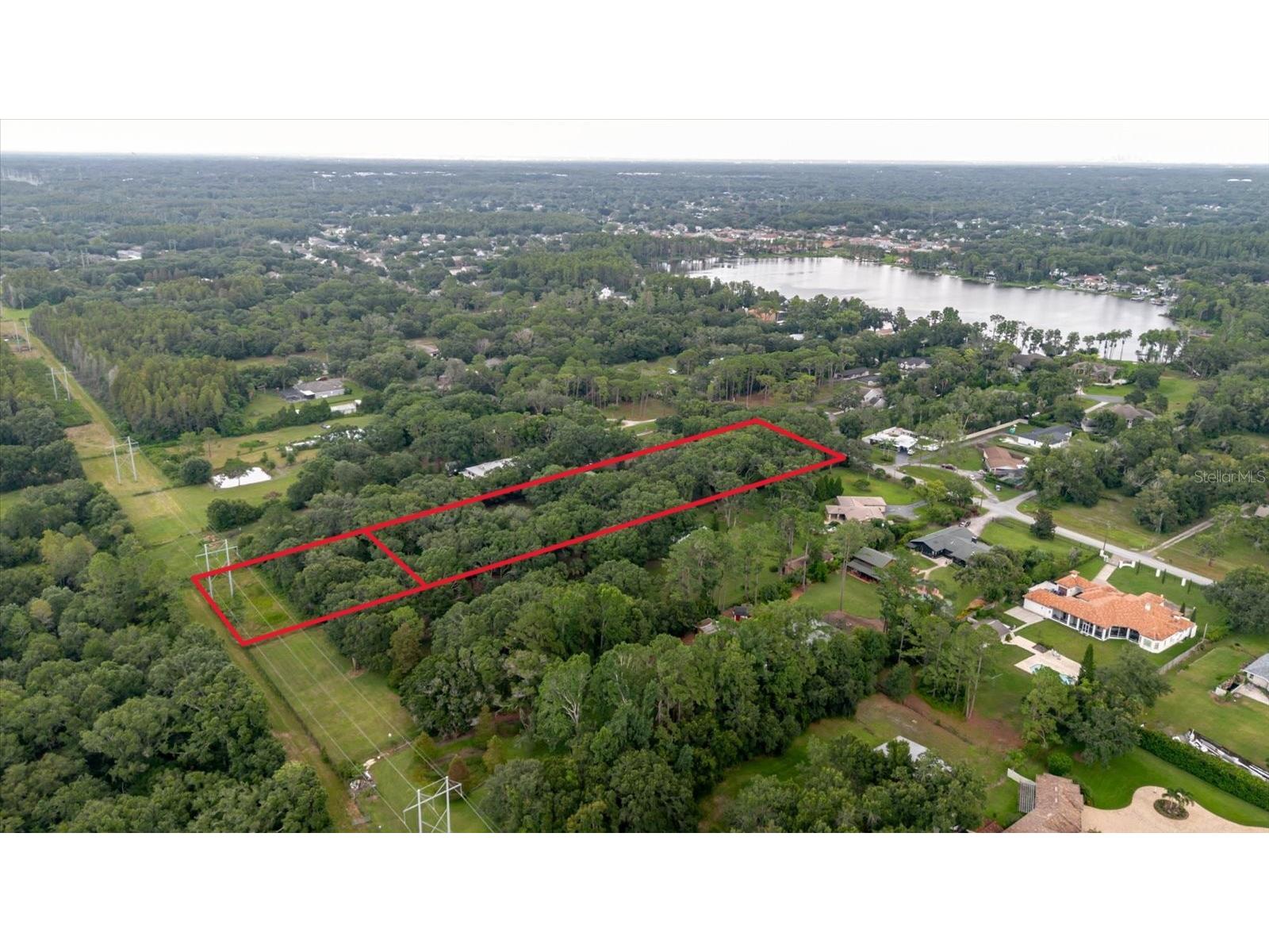 5455 Lake Le Clare Road Lutz FL 33558 TB8414223 image100