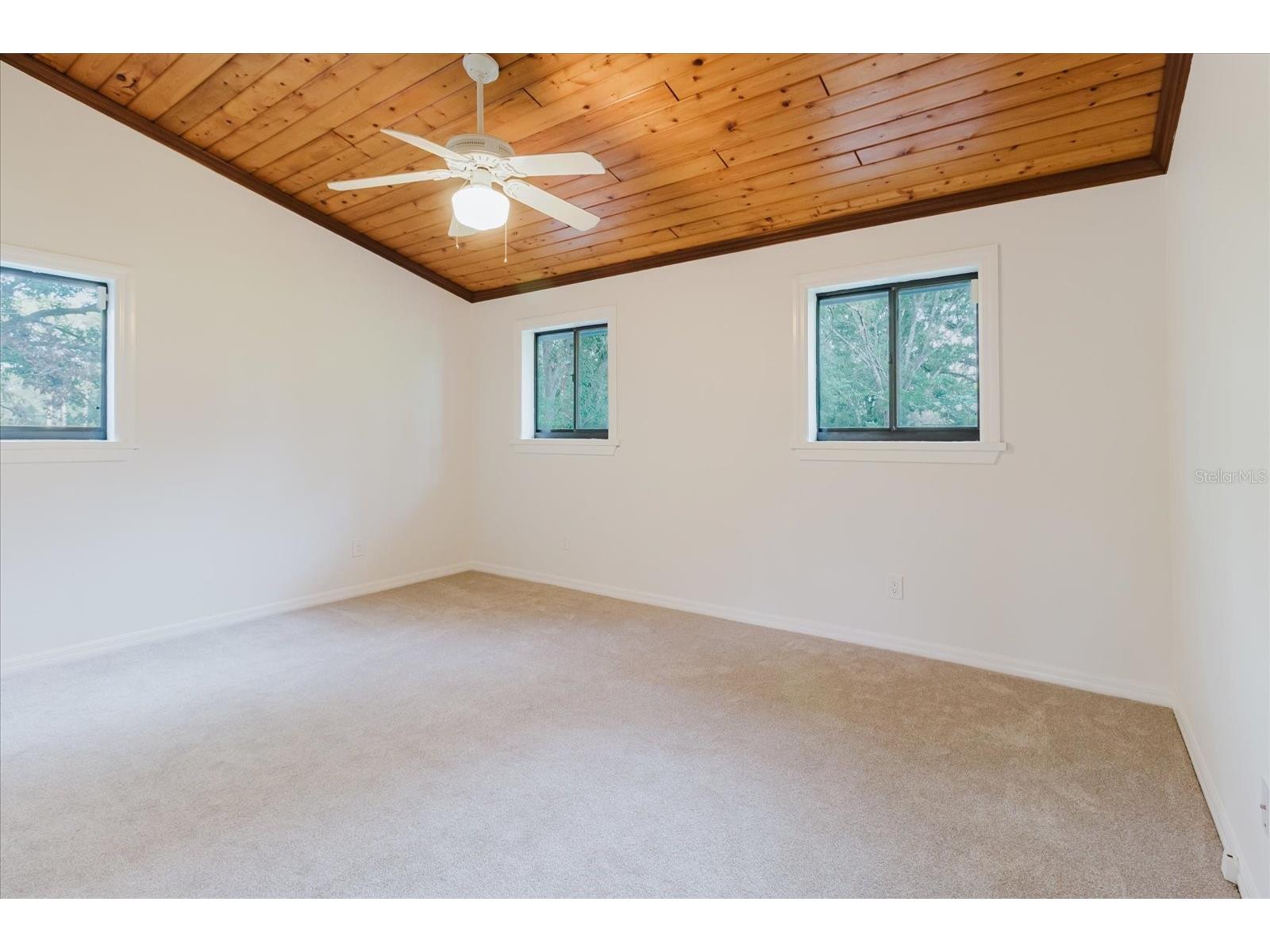 5455 Lake Le Clare Road Lutz FL 33558 TB8414223 image50