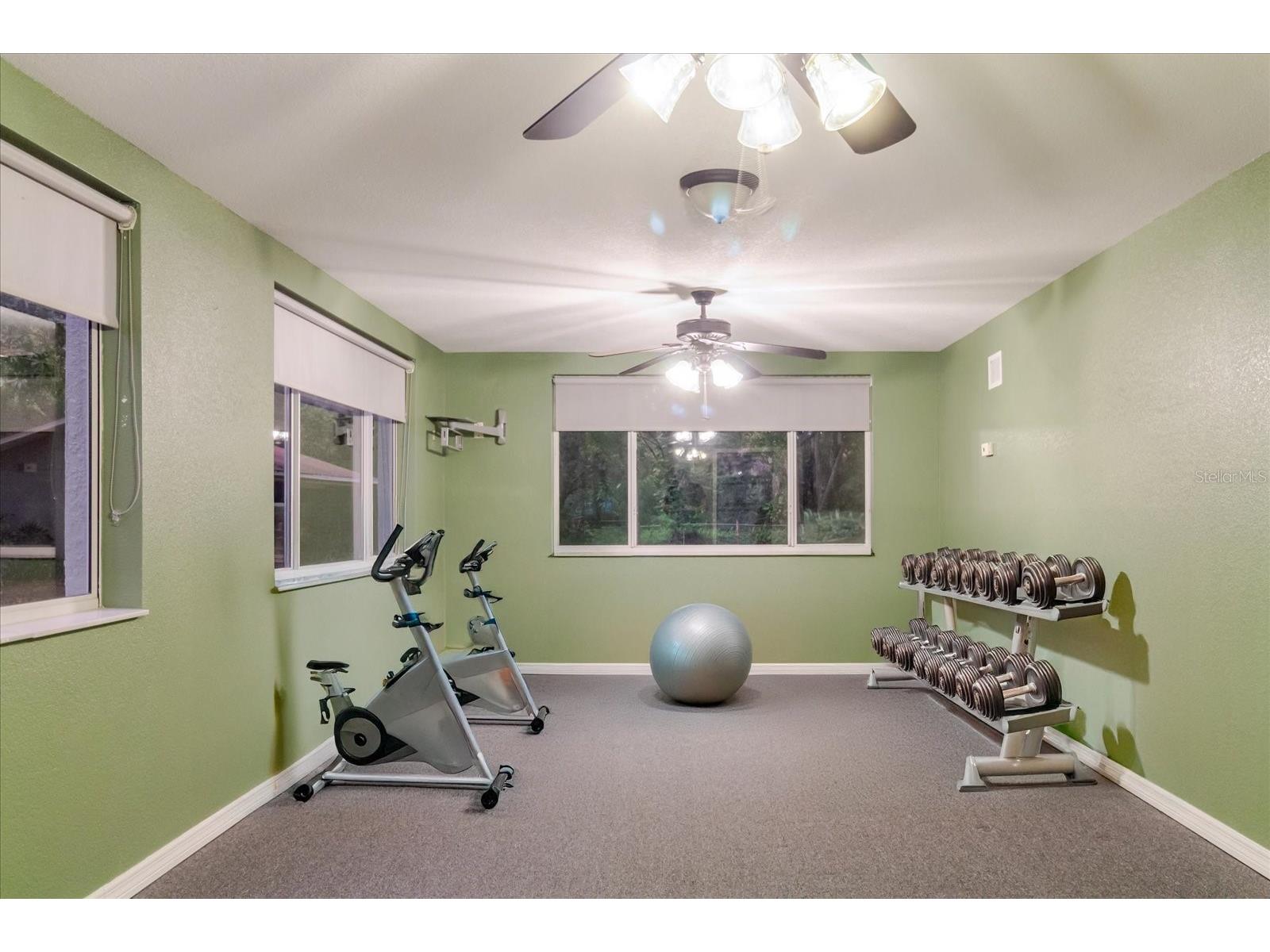 5455 Lake Le Clare Road Lutz FL 33558 TB8414223 image75