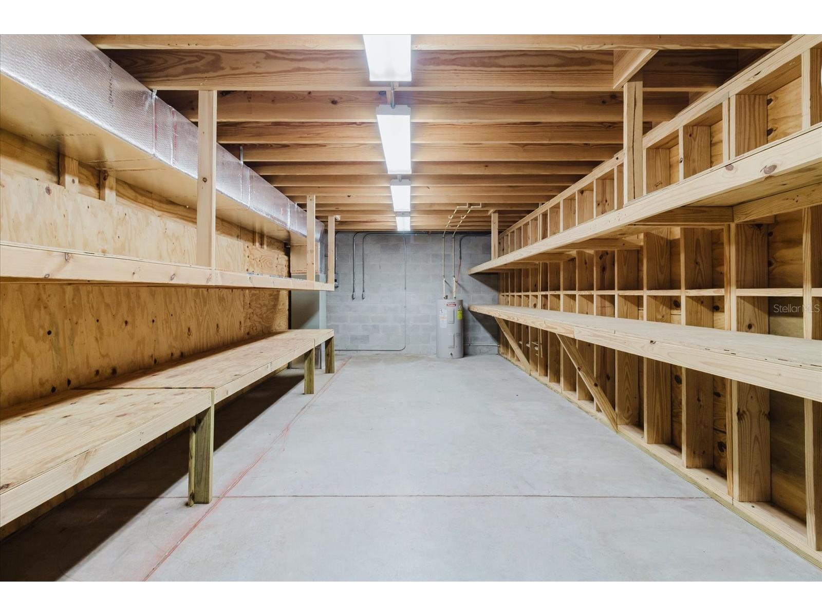 5455 Lake Le Clare Road Lutz FL 33558 TB8414223 image76