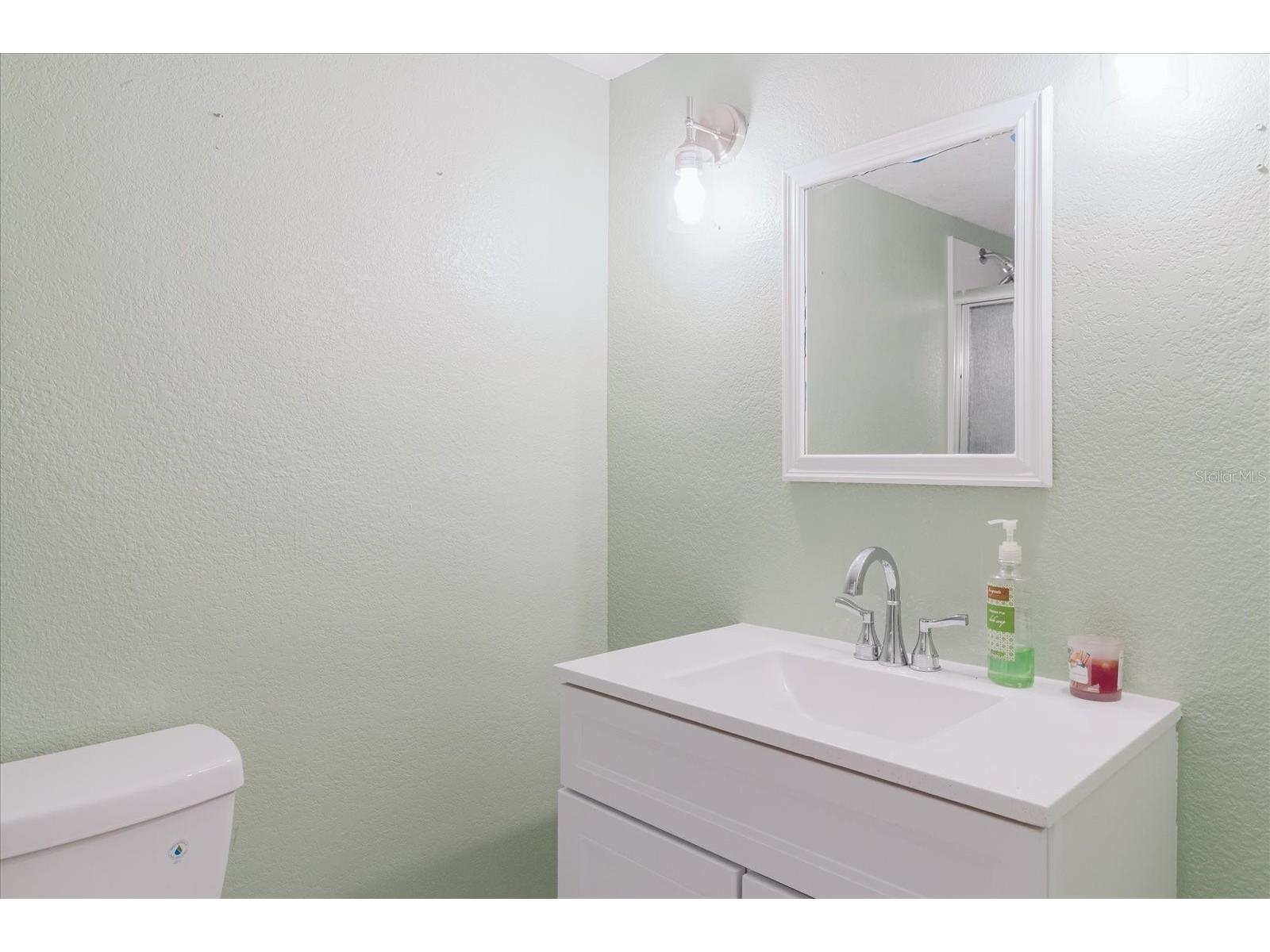 5455 Lake Le Clare Road Lutz FL 33558 TB8414223 image84