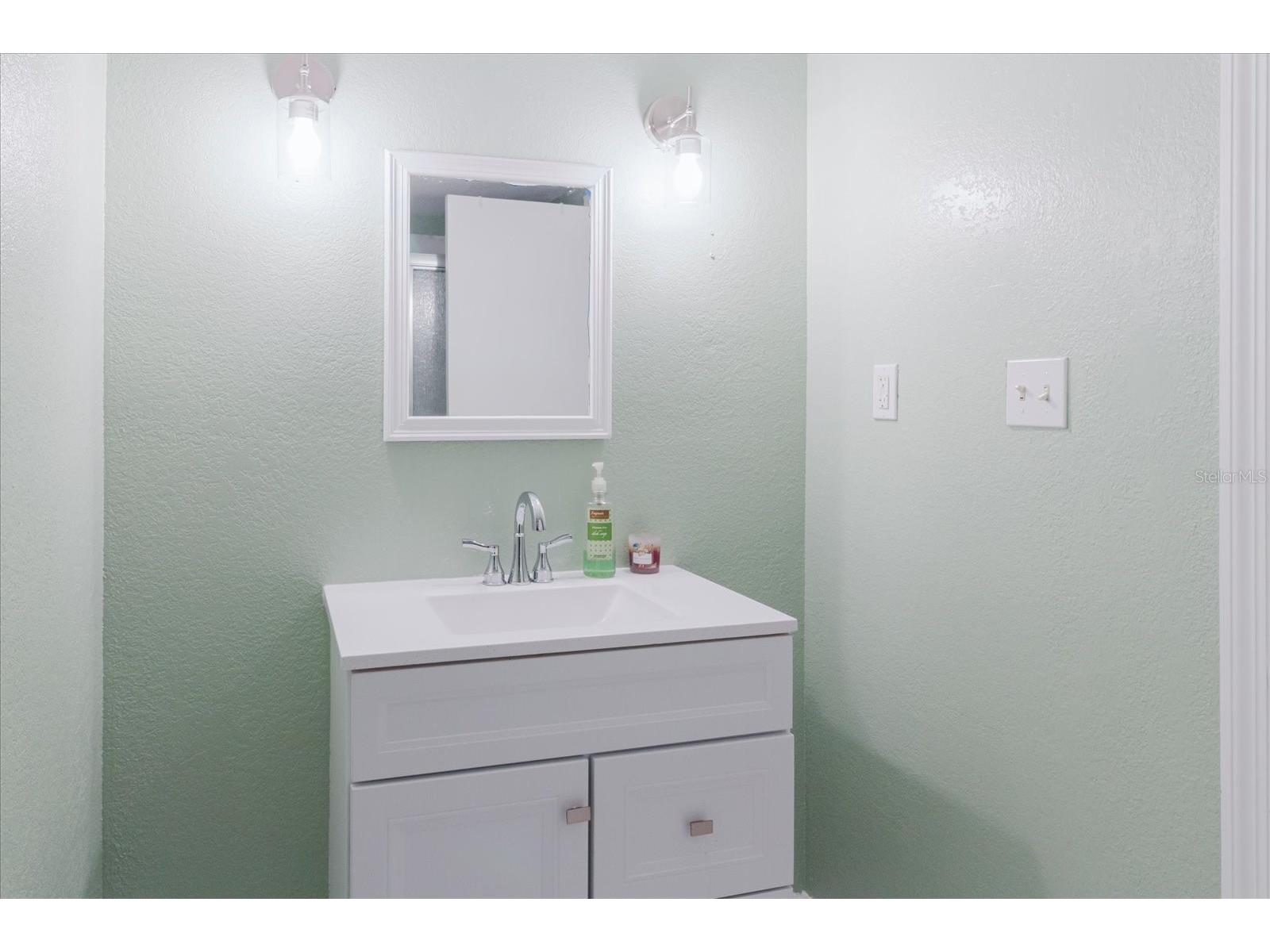 5455 Lake Le Clare Road Lutz FL 33558 TB8414223 image85