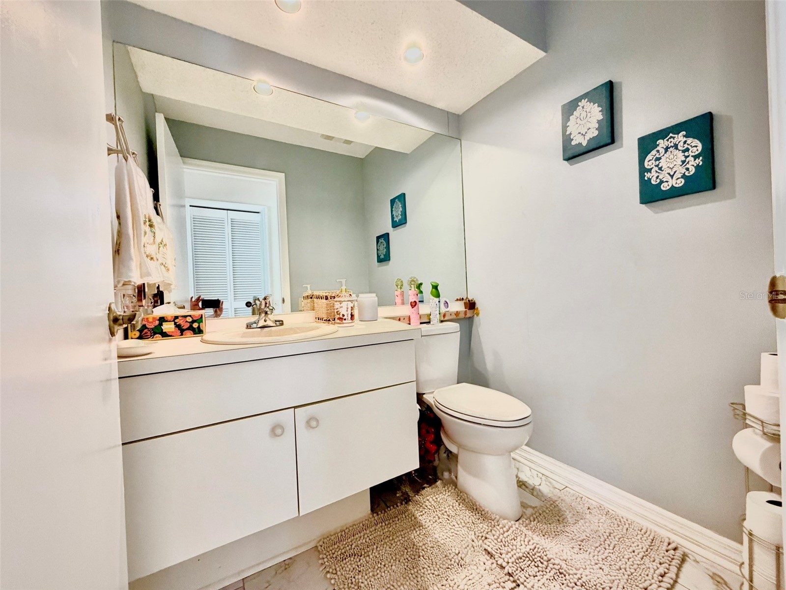 5455 Pine Bark Lane Wesley Chapel FL 33543 TB8510039 image11