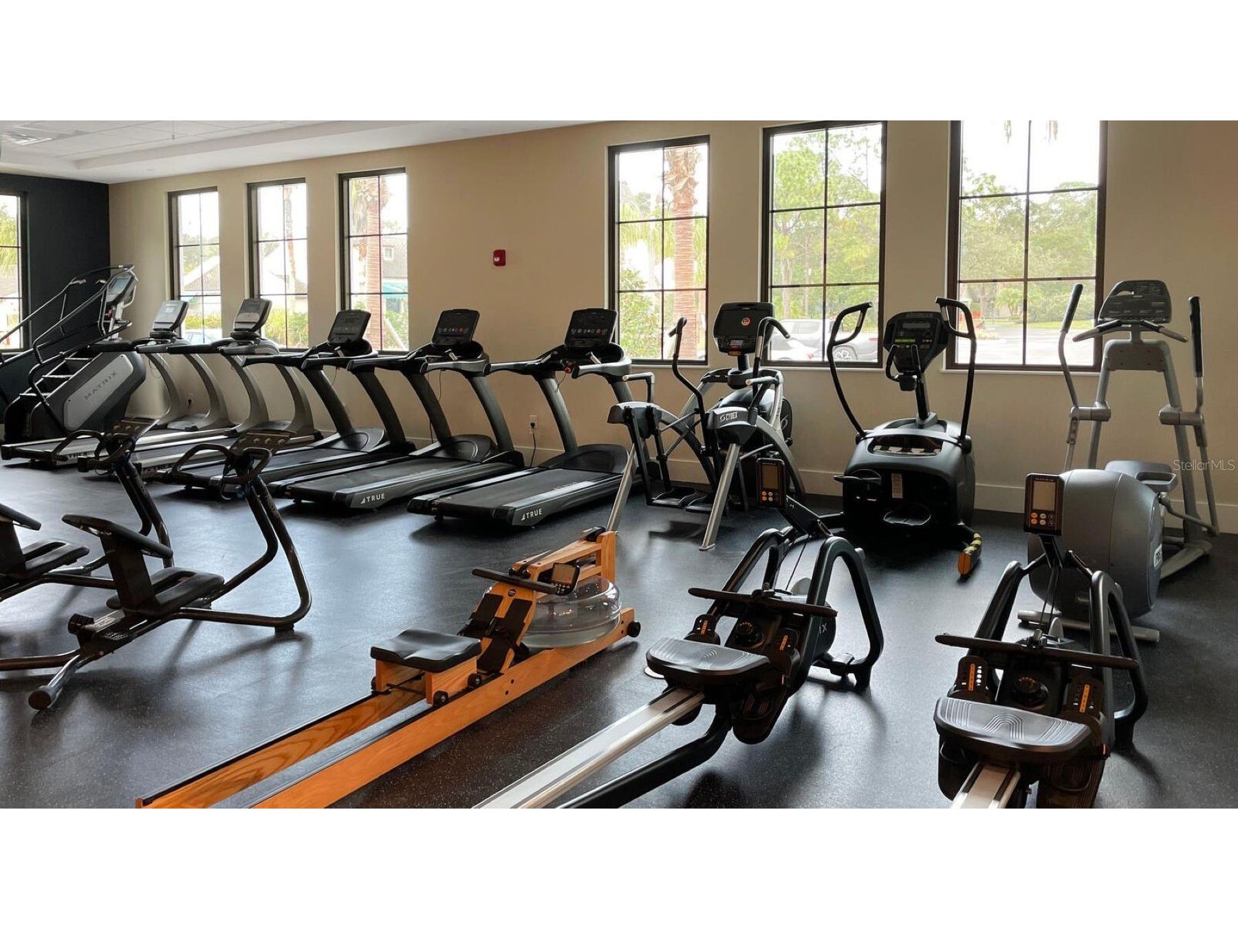 5456 Hampstead Heath #20 Sarasota FL 34235 A4692963 image28