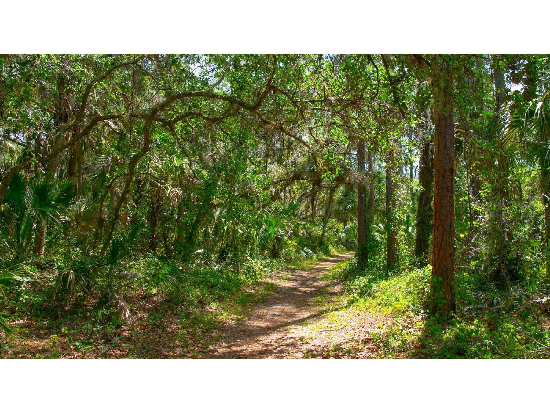 5456 Hampstead Heath #20 Sarasota FL 34235 A4692963 image31