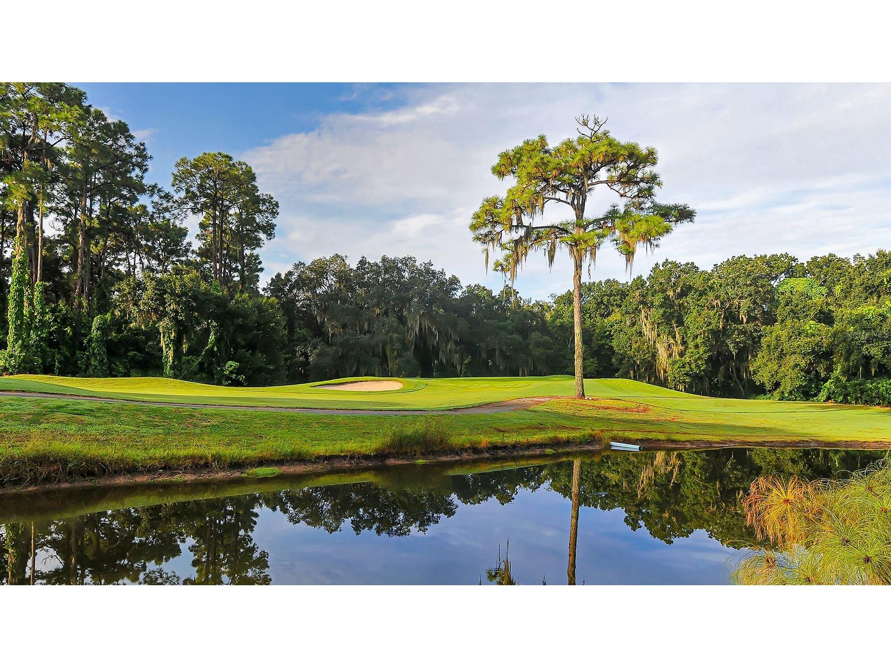 5456 Hampstead Heath #20 Sarasota FL 34235 A4692963 image32