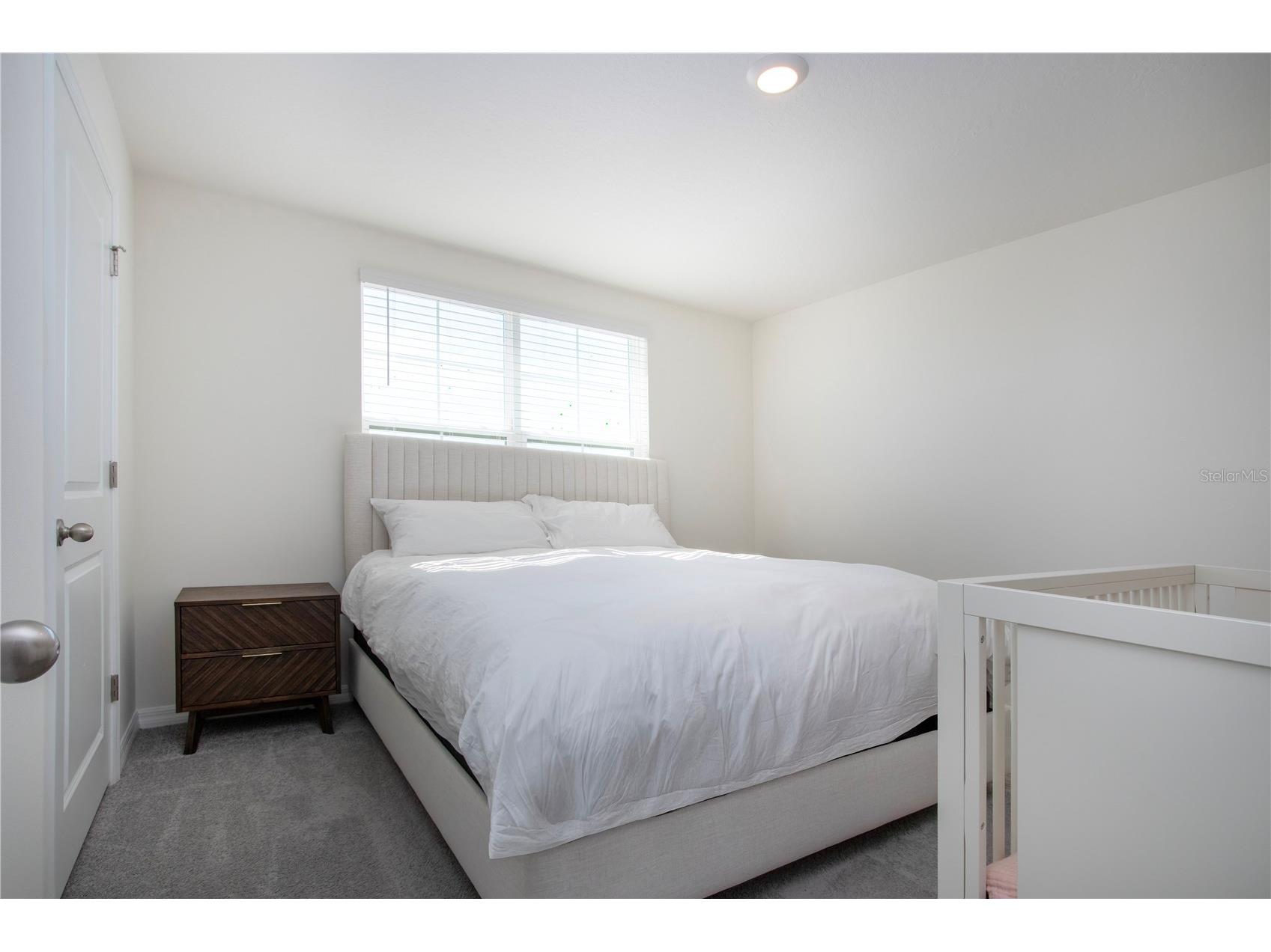 5456 Logan Cave Avenue Wimauma FL 33598 A4678799 image39