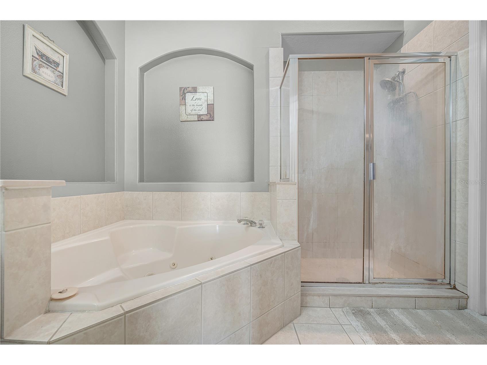 5457 Los Palma Vista Drive Orlando FL 32837 O6393438 image13