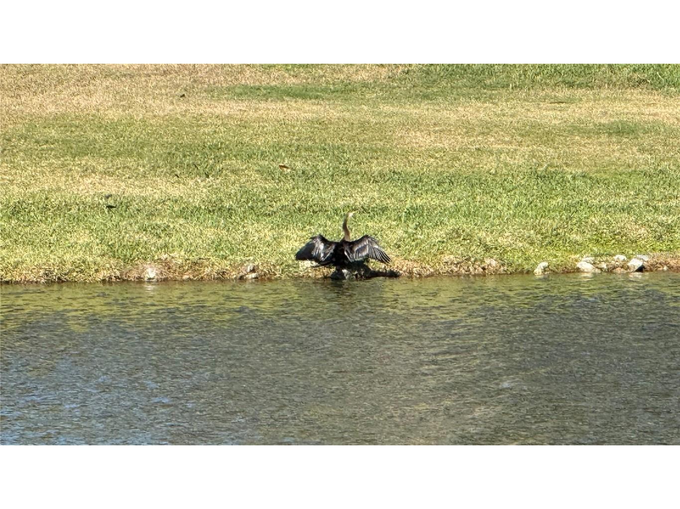 5457 Sandy Shell Drive Apollo Beach FL 33572 TB8456389 image78