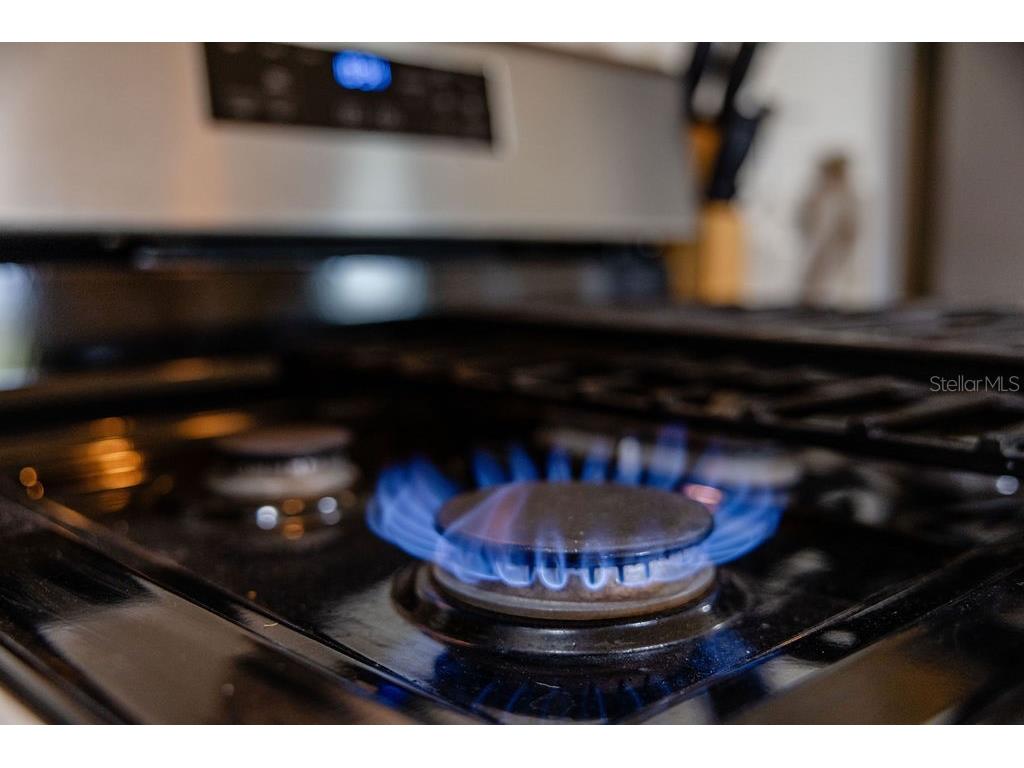 5458 Bacon Terrace The Villages FL 32163 G5114270 image22