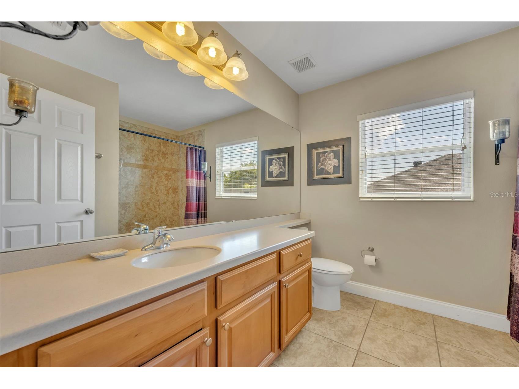 5459 Rishley Run Way Mount Dora FL 32757 O6395003 image20