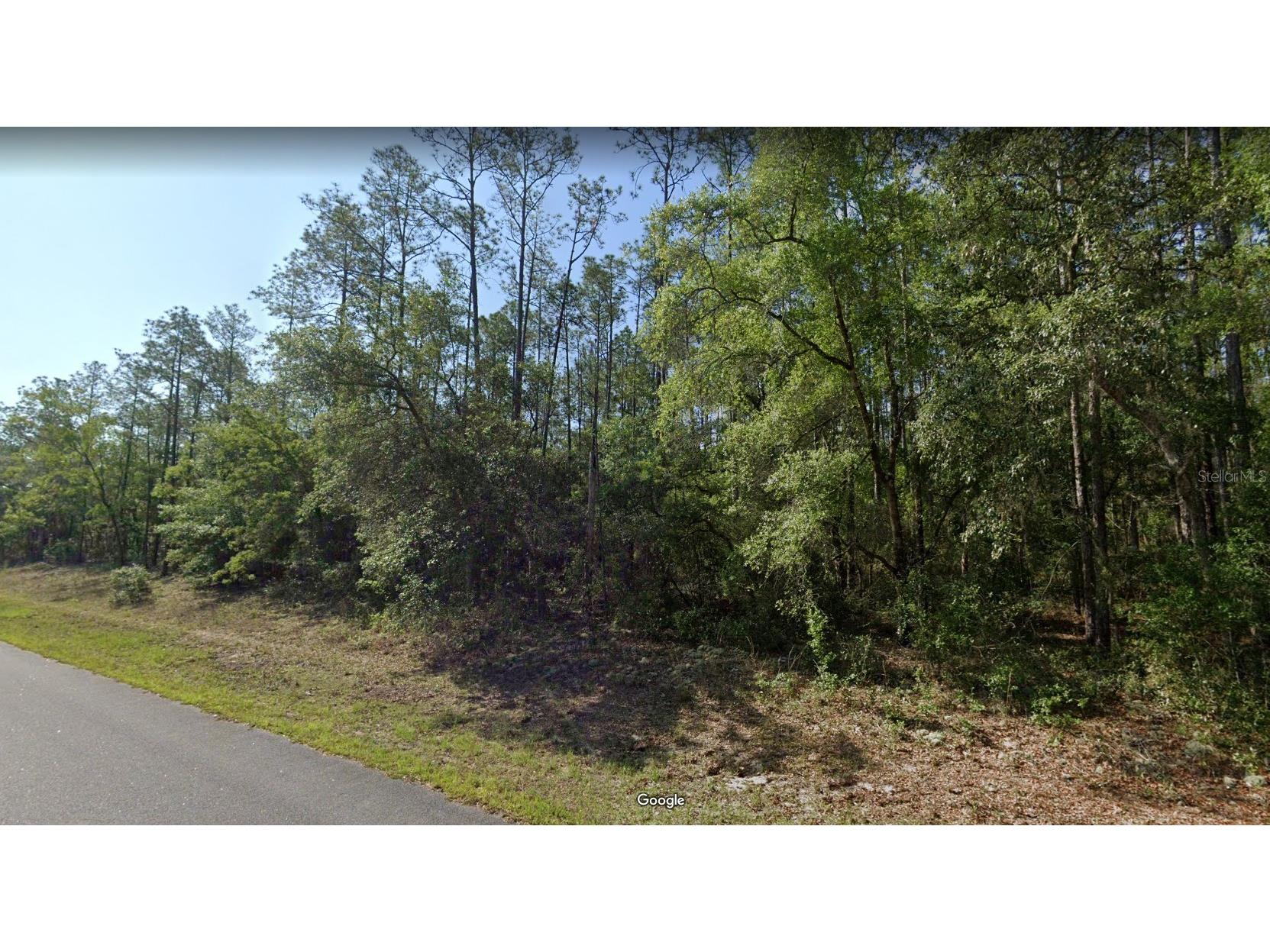 546 E Bimini Drive Dunnellon FL 34434 OM725330 image1
