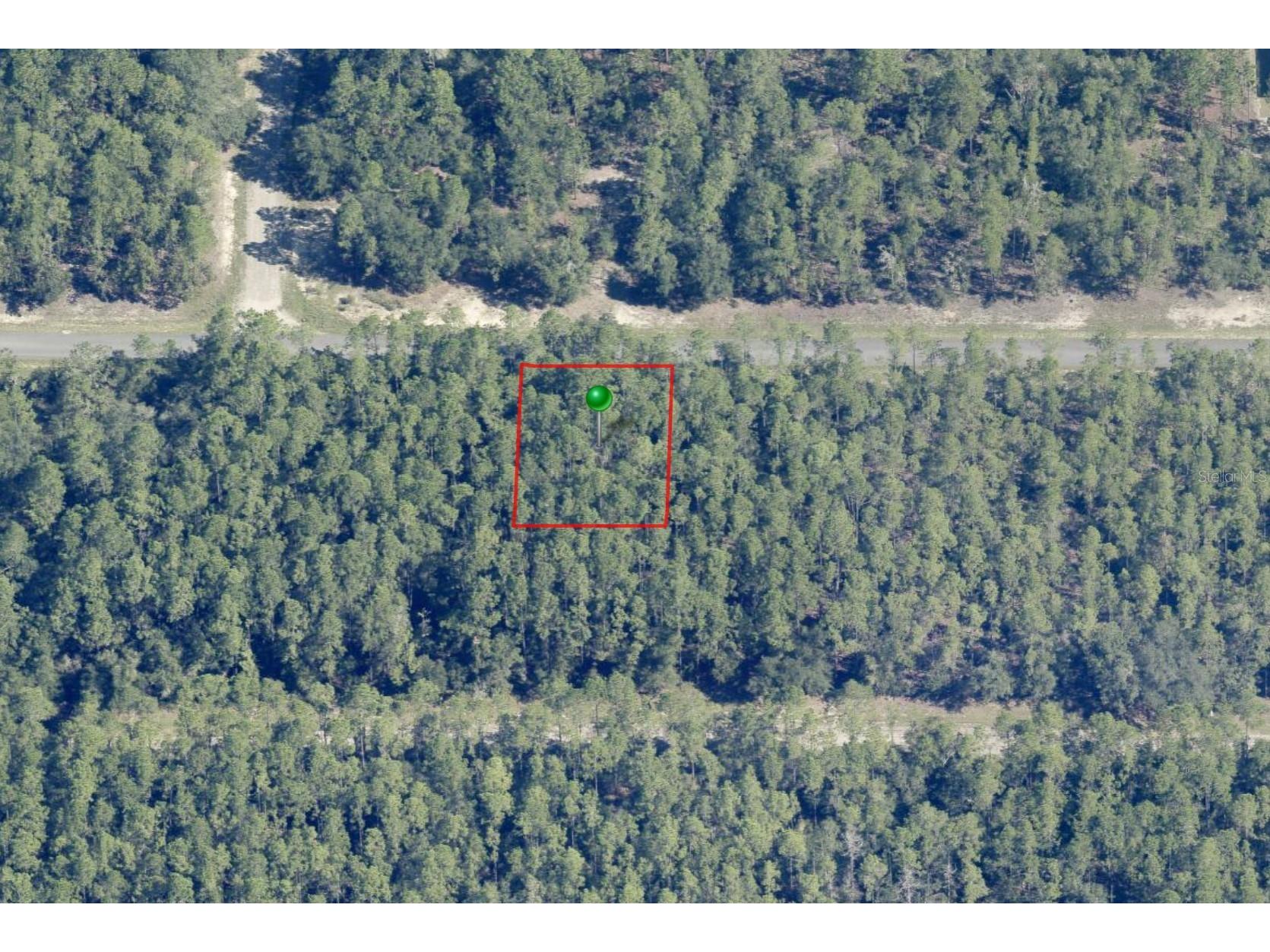 546 E Bimini Drive Dunnellon FL 34434 OM725330 image4