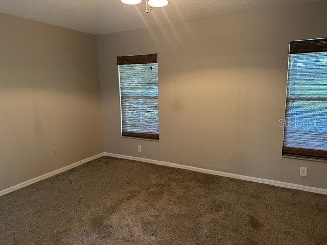 546 Lindsay Anne Court Plant City FL 33563 L4961947 image15