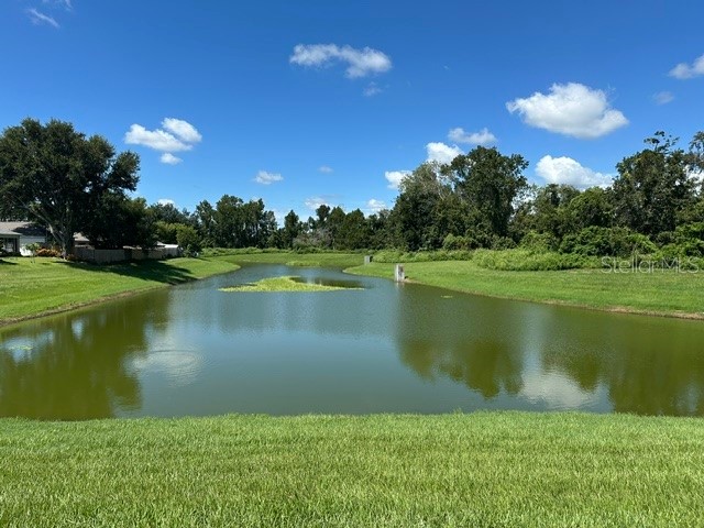 546 Lindsay Anne Court Plant City FL 33563 L4961947 image20