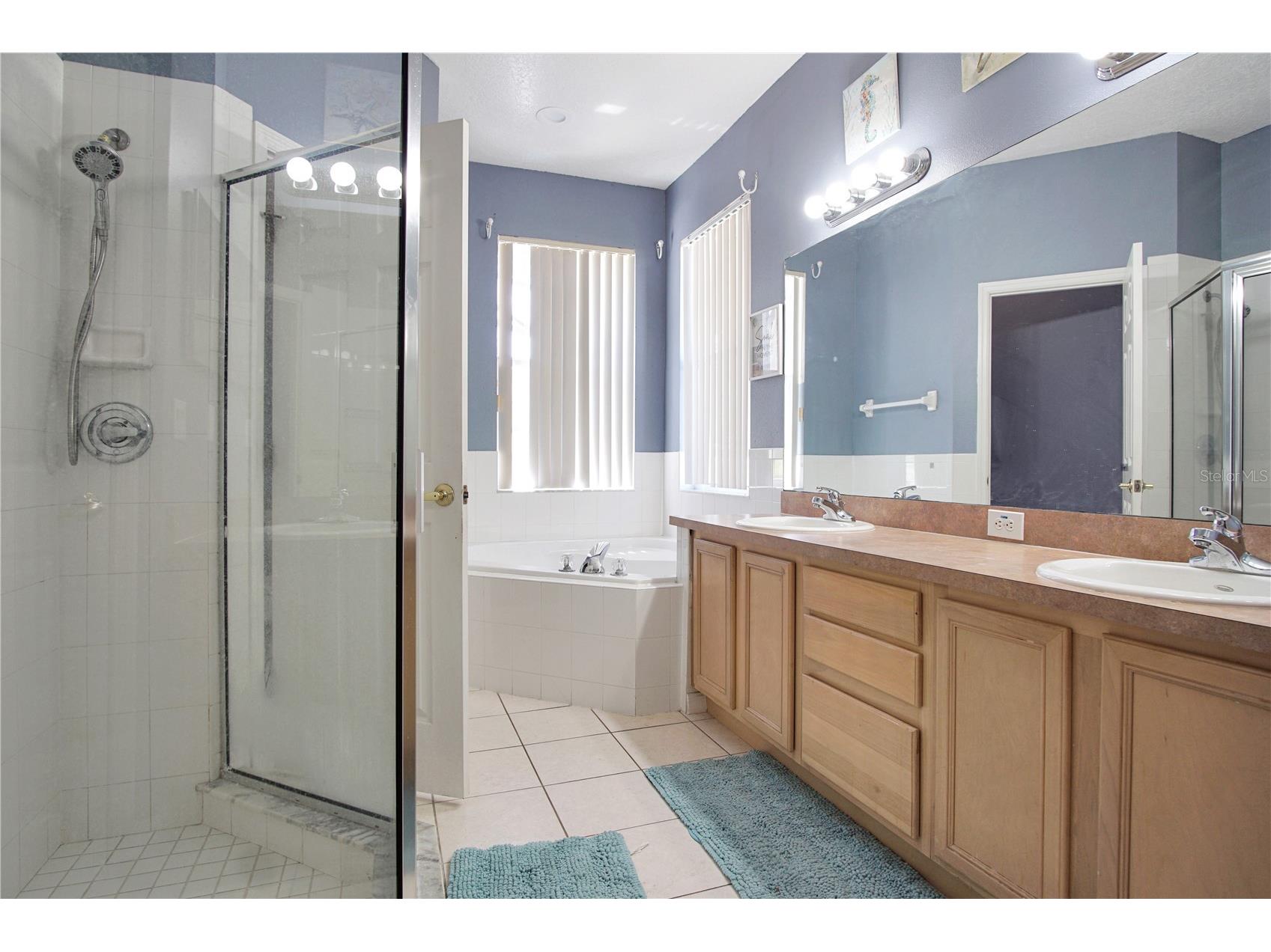 546 Pineloch Drive Haines City FL 33844 P4938880 image15